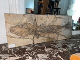 a large piece of art on the floor of a room