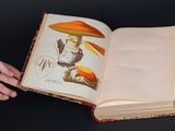une personne tenant un livre ouvert sur lequel figure un champignon