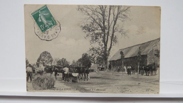 La Courtine : Camp de La Courtine. Chevaux à l’Abreuvoir (ND 14)....