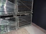 many cages with bottles of wine in them in a room