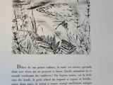 Photo 3/6 du lot