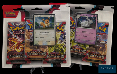 Deux paquets de cartes Pokémon se trouvent dans un emballage sur fond noir.
