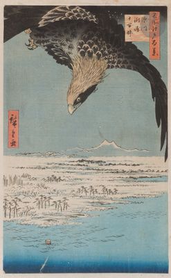 une image représentant un oiseau volant au-dessus d'un plan d'eau, avec une montagne en arrière-plan
