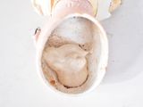 a cup that has some food inside of it