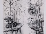 pencil drawing of a river and trees in a forest