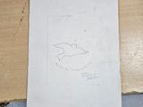 a drawing of a bird on a piece of paper on a table