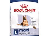 Alimentation pour chiens adultes Royal Canin Maxi