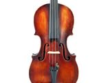a close up of a violin on a white background