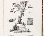 un livre ouvert sur lequel est dessiné un oiseau et un arbre