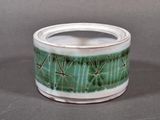 un pot vert et blanc contenant un cactus