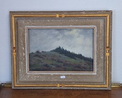 une photo d'une photo représentant une colline avec des arbres dessus