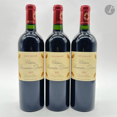 3 B CHÂTEAU BRANAIRE-DUCRU, GCC4 Saint-Julien, 2015 - Photo 1