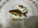 a plate with a picture of a fish on it
