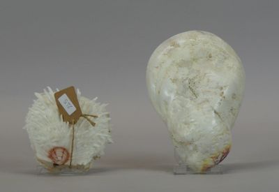 two white vases that are sitting next to each other