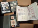 Photo 9/14 du lot