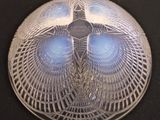 a clear glass plate with blue lights on it