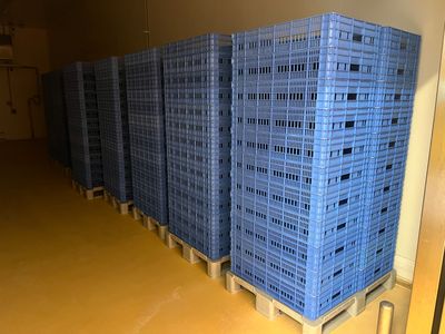 plusieurs palettes en plastique bleu empilées les unes sur les autres dans un entrepôt