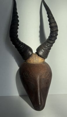 une tête d'antilope accrochée au mur d'une pièce