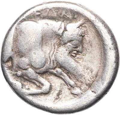 a close up of a silver coin with a bull on it