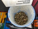 a bucket full of brass screws sitting on a table