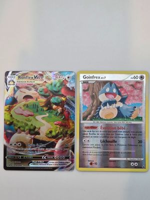 deux cartes pokemon posées l'une sur l'autre sur une table