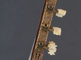 a close up of a mandolin neck with a guitar in the foreground
