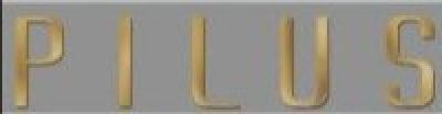 the word plus is written in gold letters on a gray background