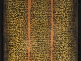 a painting of a black and gold frame with a pattern on it