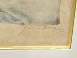 a picture of a drawing of a whale in a gold frame