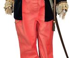 an image of a man dressed in a military uniform