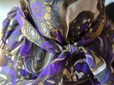 a purple and black hat with a bow on top of it