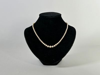 collier de perles présenté sur un mannequin devant un fond blanc
