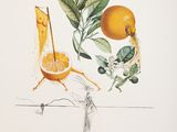 drawing of oranges and leaves on a table with a knife and fork