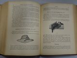 a open book with a drawing of a horse and a plate of food