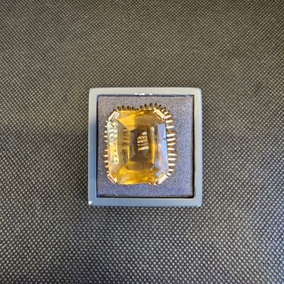 une photo d'une puce électronique sur laquelle figure le portrait d'un homme