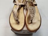 the shoes are on the box and ready to be put into the box