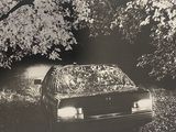 photographie en noir et blanc d'une voiture garée dans un espace boisé
