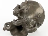 an image of a skull with a woman and a cat on it