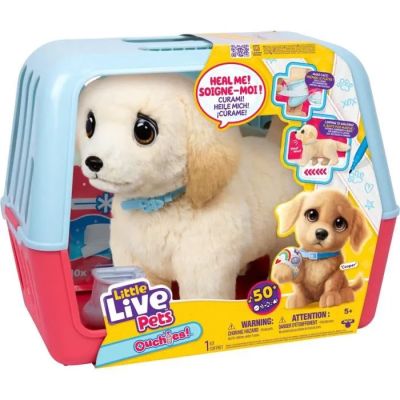 the dog is in a plastic carrier with a blue collar