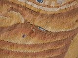 a picture of a close up of a bag of bread