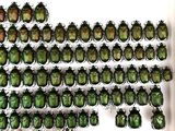 a lot of green beetles on display in a glass case