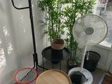 un ventilateur posé à côté de quelques plantes dans une pièce