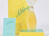 un flacon de parfum posé sur un livre