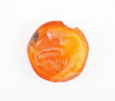 fruit d'orange séché posé sur une surface blanche, sur fond blanc
