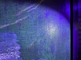 a picture of a fish tank with a fish inside of it