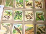 une photo d'un livre sur lequel figurent un serpent et d'autres animaux