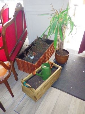 a potted plant in a wooden box next to a chair