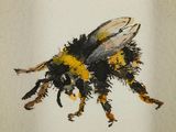 a painting of a bee that is on a piece of paper