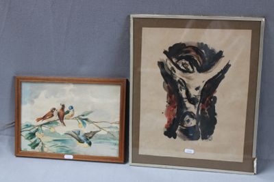 deux photos encadrées d'oiseaux posées sur une table