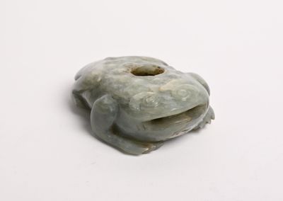 an image of a close up of a green object on a white surface